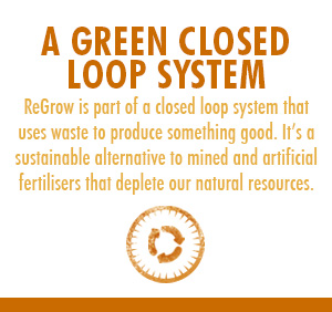 green-closed-loop